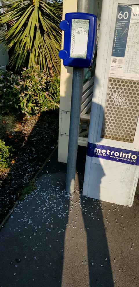Roading/Streets, a report photo