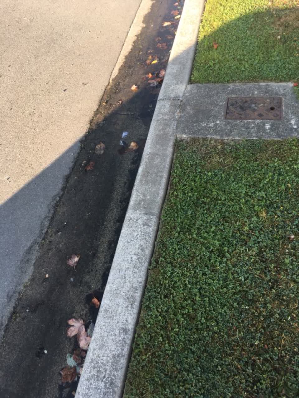 The photograph attached to this water supply report