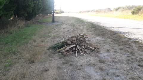Roading/Streets, a report photo
