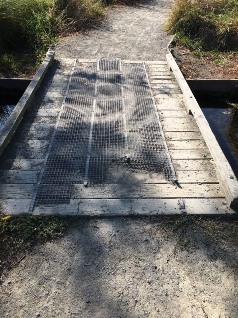 The photograph attached to this parks report