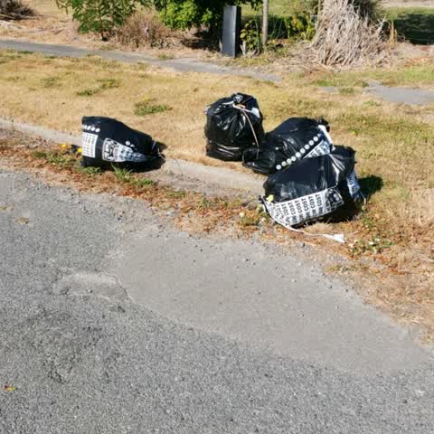 Parks, a report photo