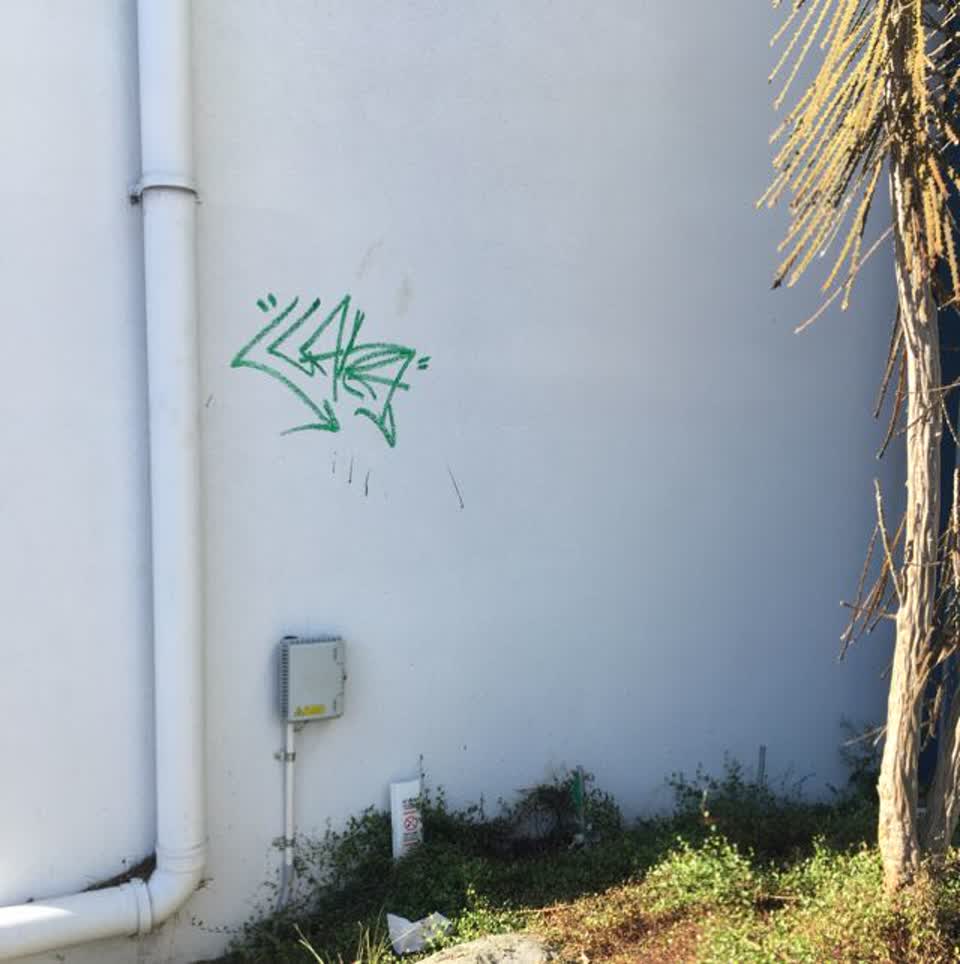 The photograph attached to this graffiti report