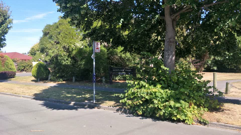 The photograph attached to this parks report