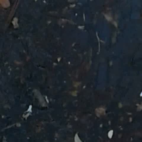 Wastewater/Stormwater, a report photo