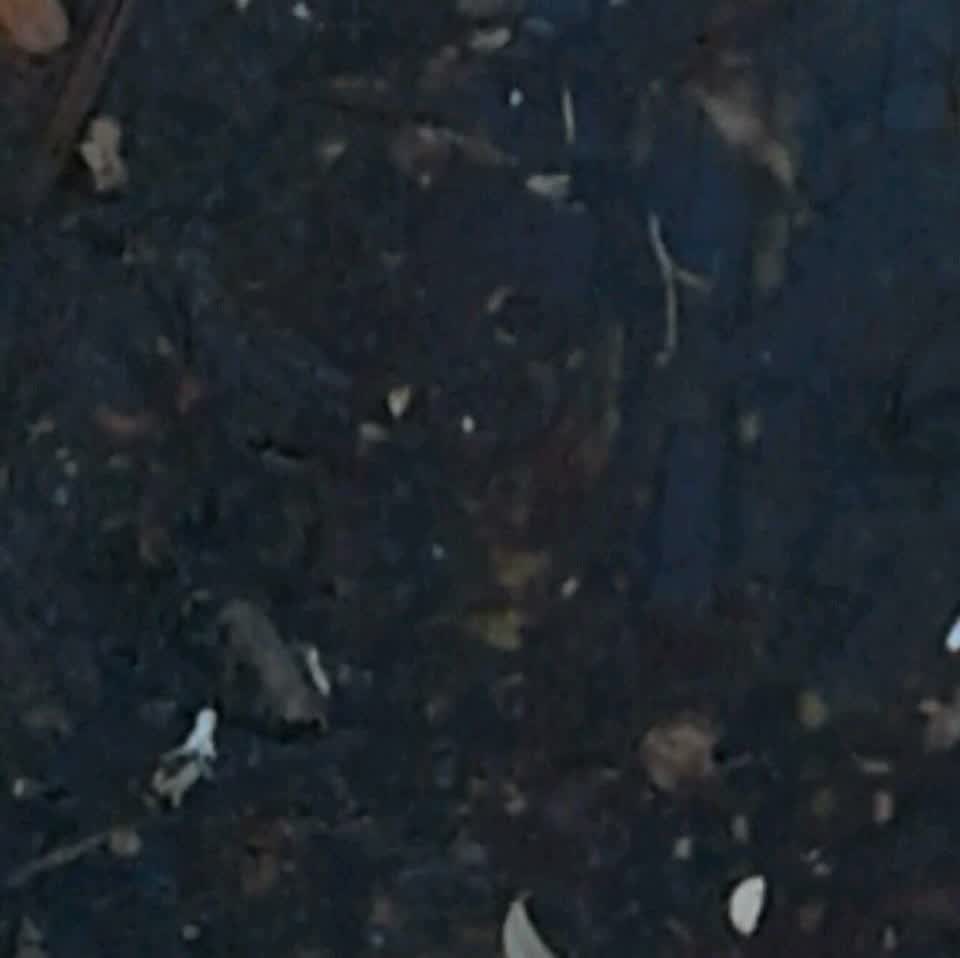 The photograph attached to this wastewater/stormwater report