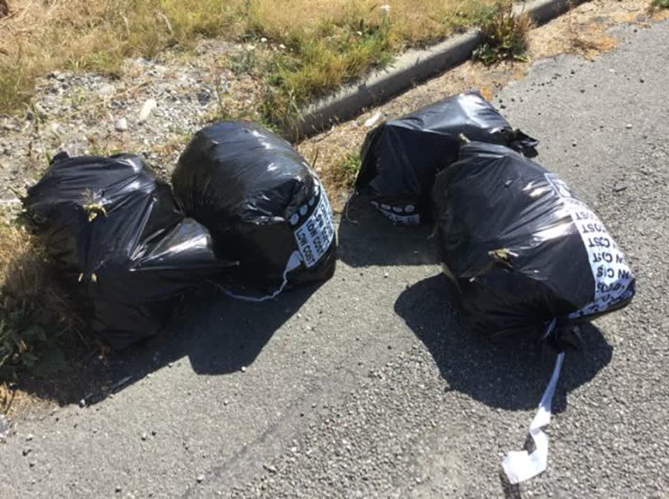 The photograph attached to this rubbish/recycling report