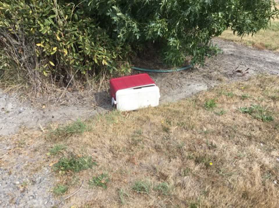The photograph attached to this rubbish/recycling report
