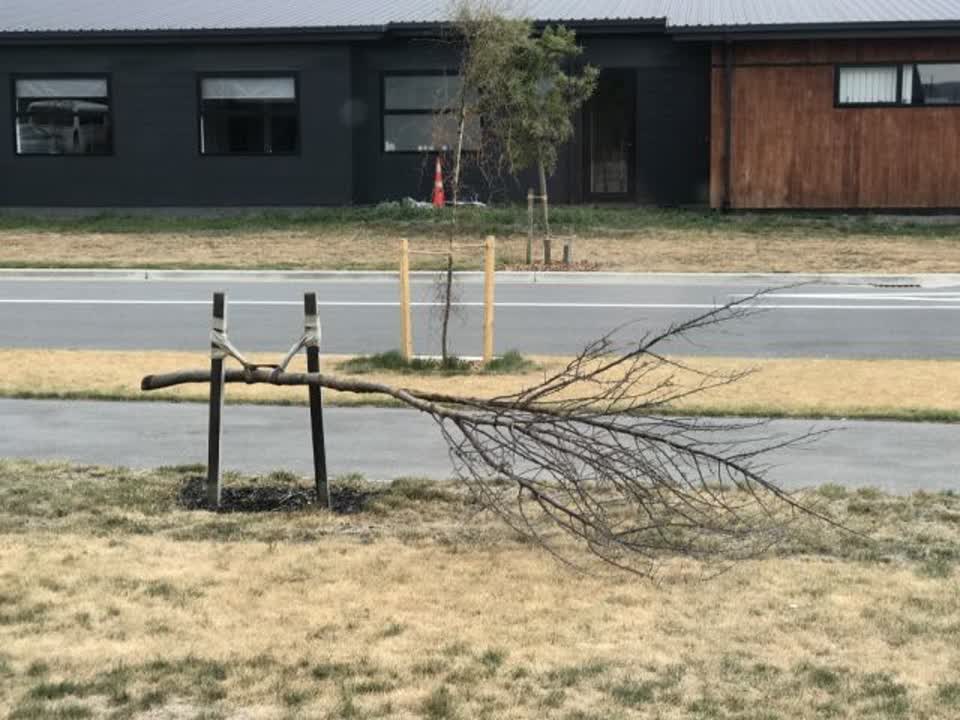 The photograph attached to this parks report