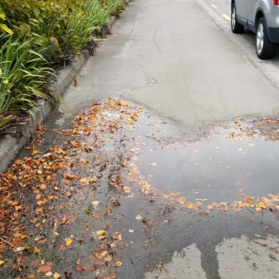 The photograph attached to this water supply report