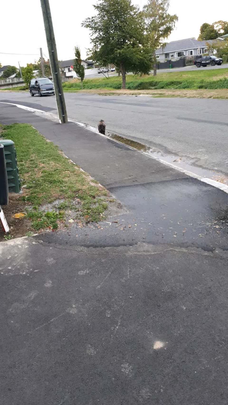 The photograph attached to this water supply report