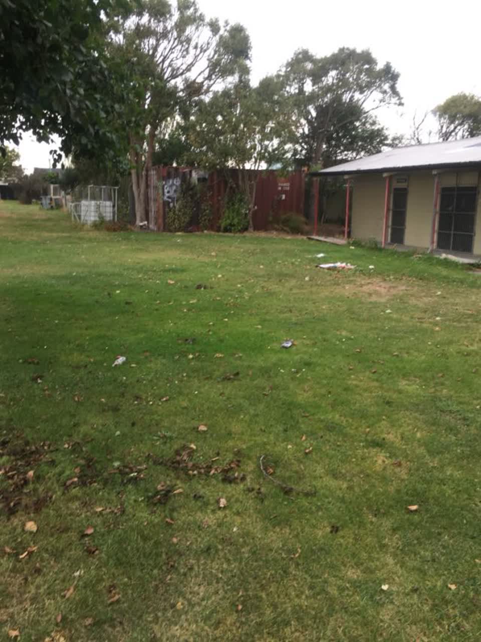 The photograph attached to this parks report