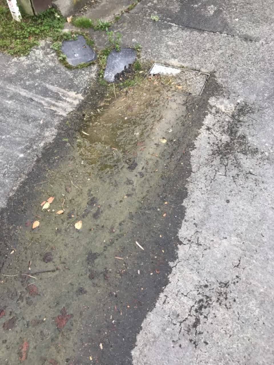The photograph attached to this water supply report