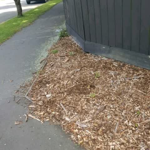 Roading/Streets, a report photo
