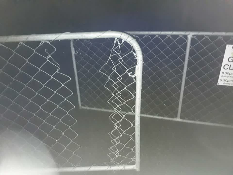 The photograph attached to this parks report