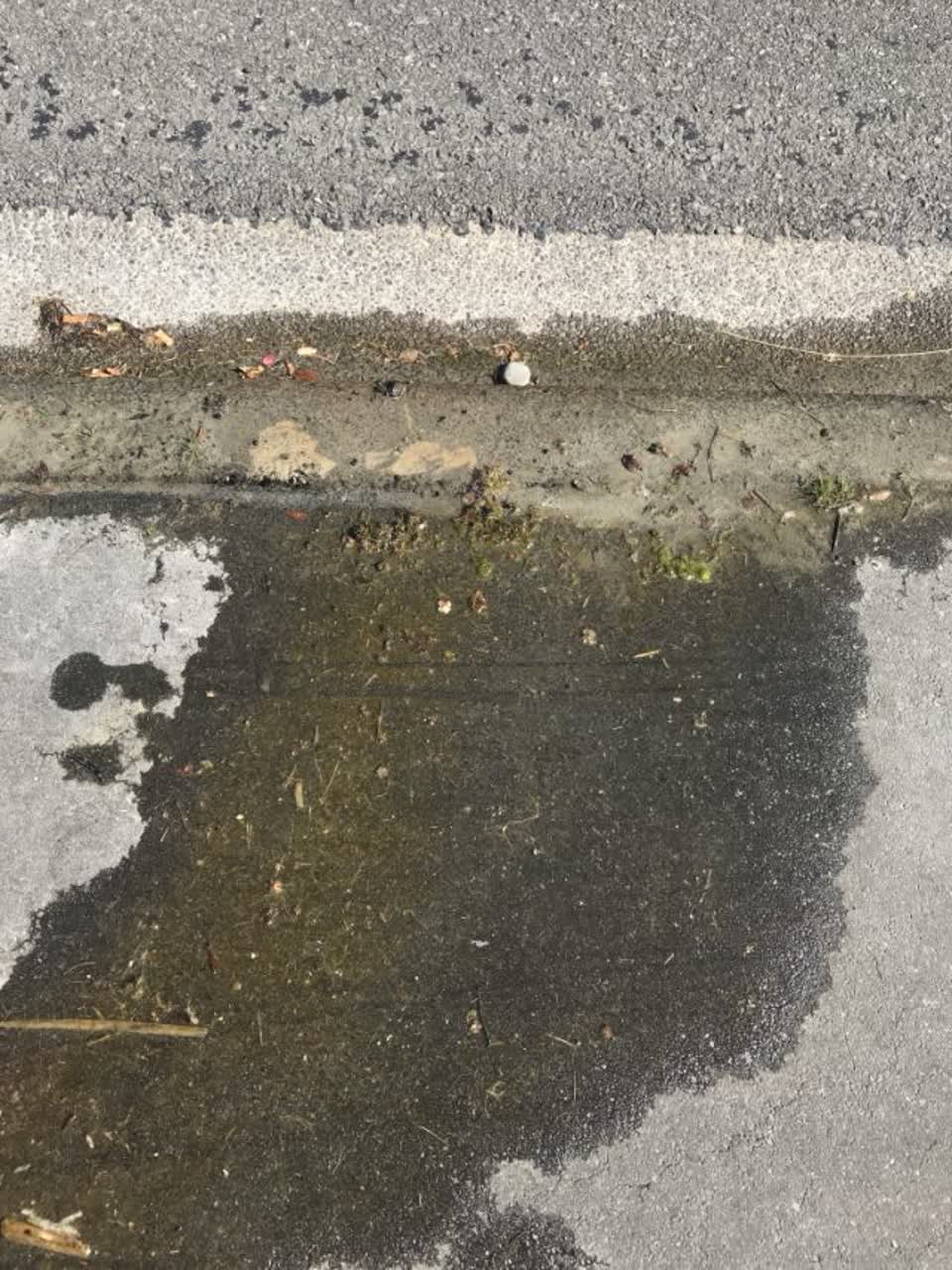 The photograph attached to this water supply report