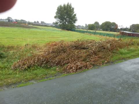Rubbish/Recycling, a report photo