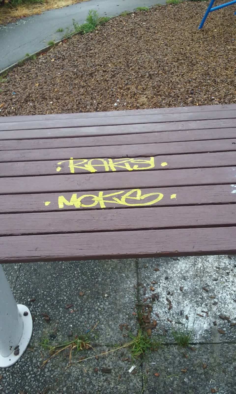 The photograph attached to this graffiti report