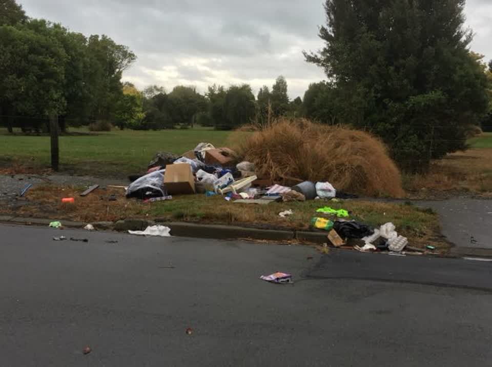 The photograph attached to this rubbish/recycling report