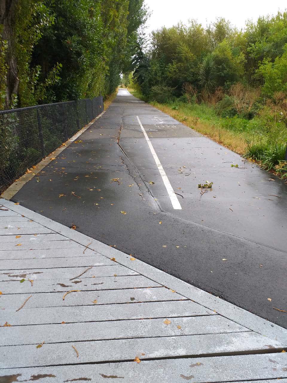 The photograph attached to this roading/streets report