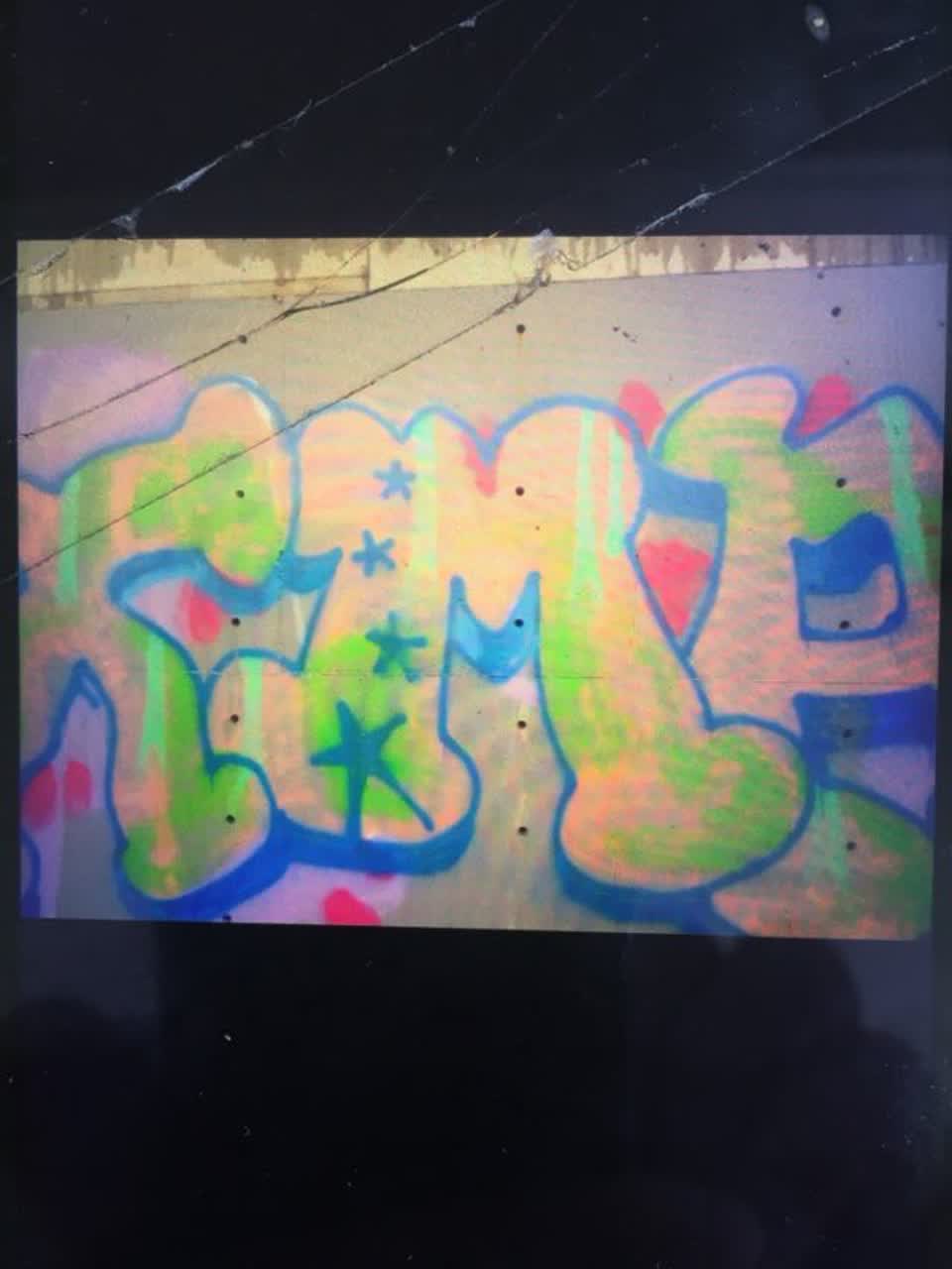 The photograph attached to this graffiti report