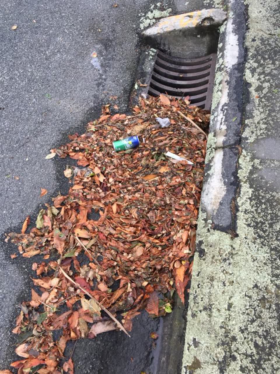 The photograph attached to this wastewater/stormwater report