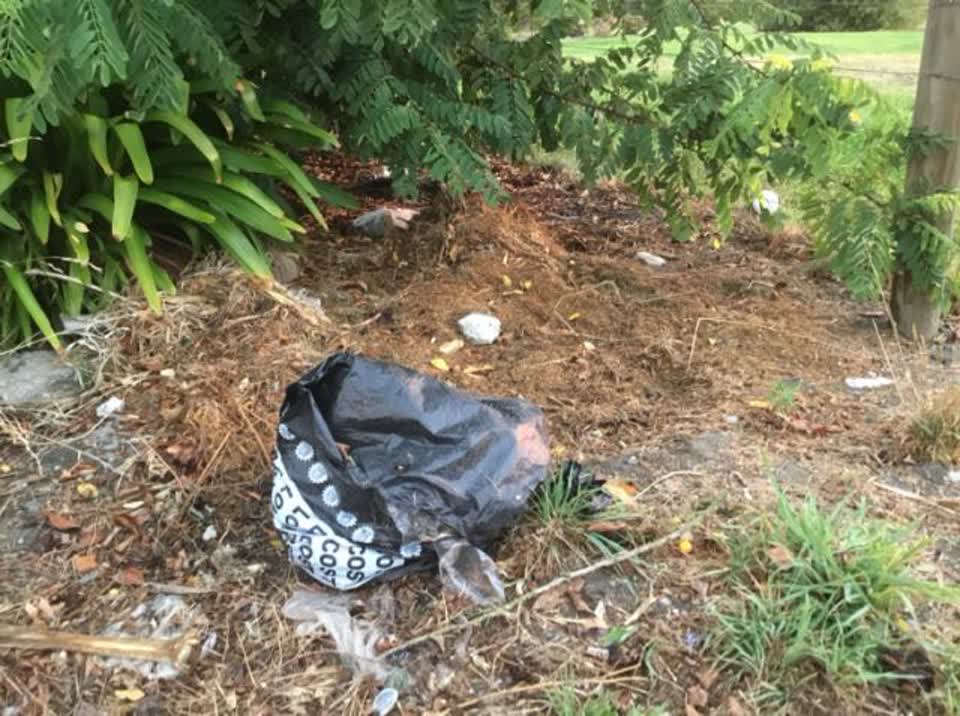 The photograph attached to this rubbish/recycling report