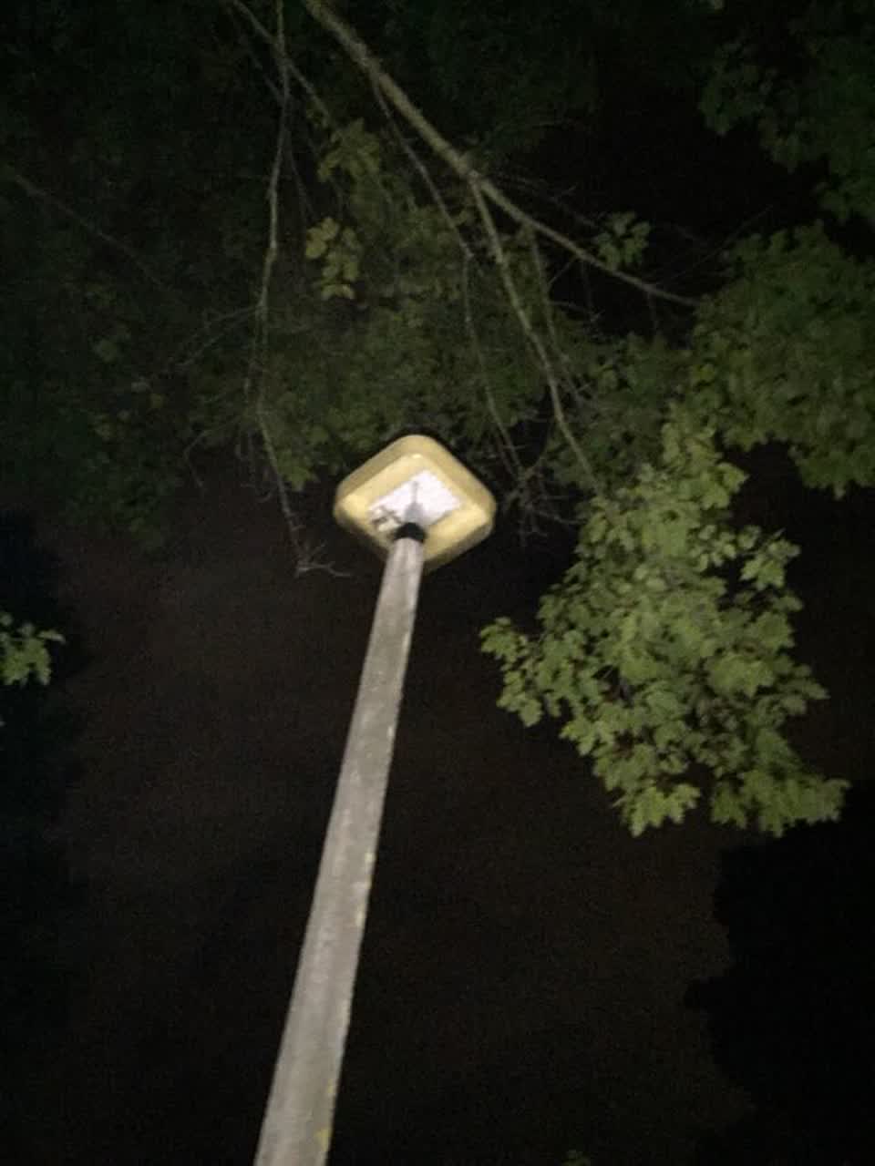 The photograph attached to this parks report