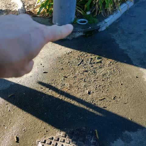 Wastewater/Stormwater, a report photo