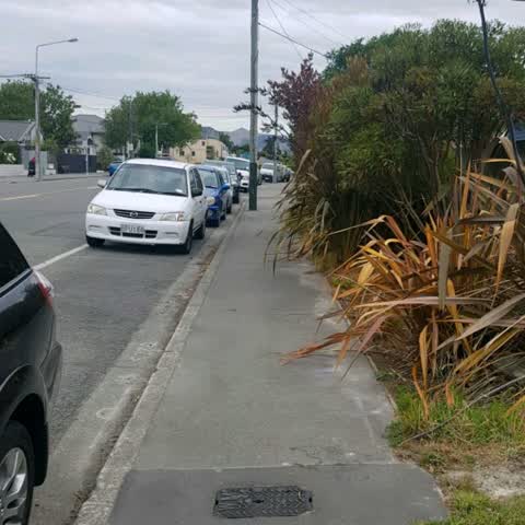 Roading/Streets, a report photo