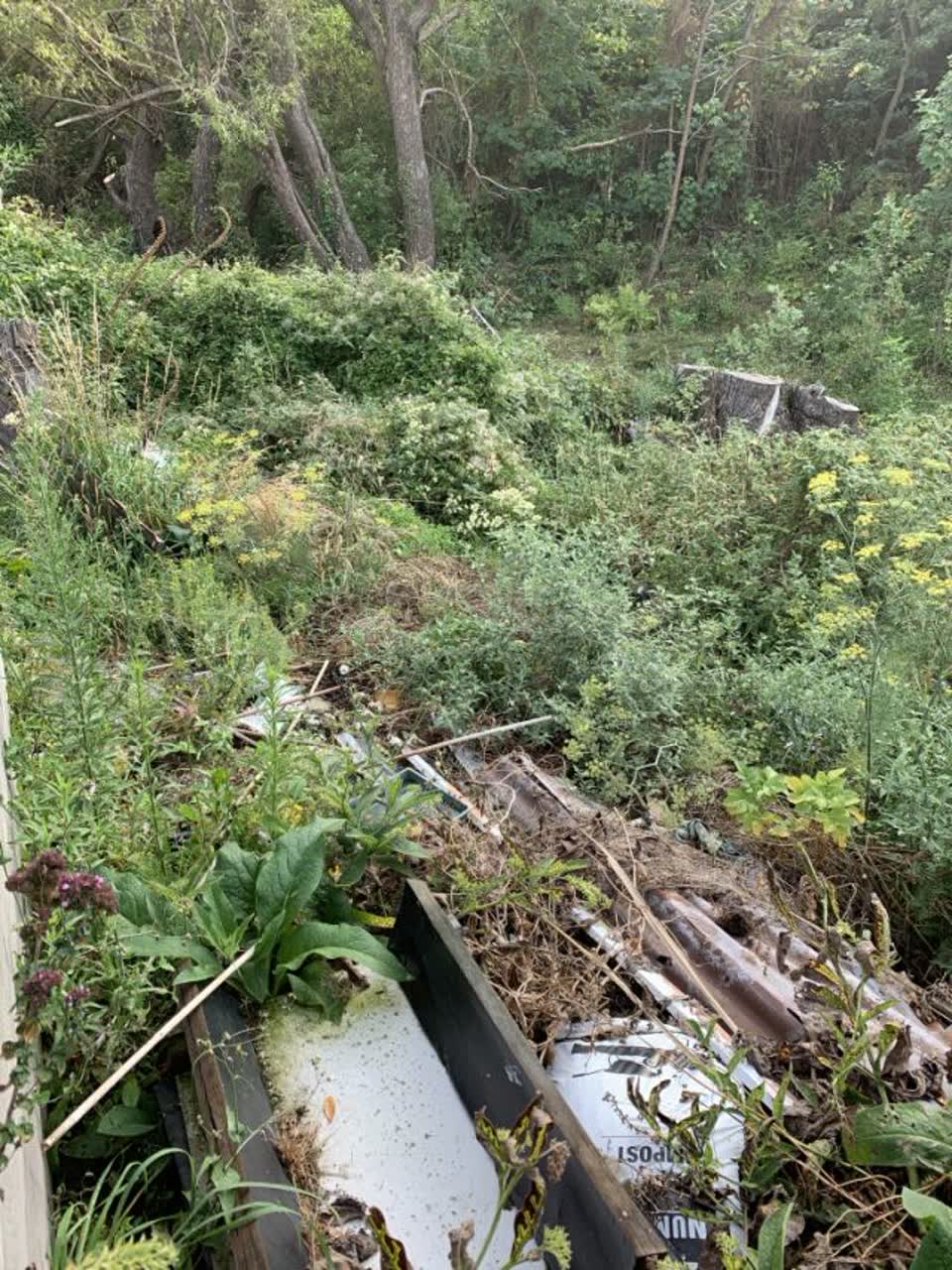 The photograph attached to this parks report