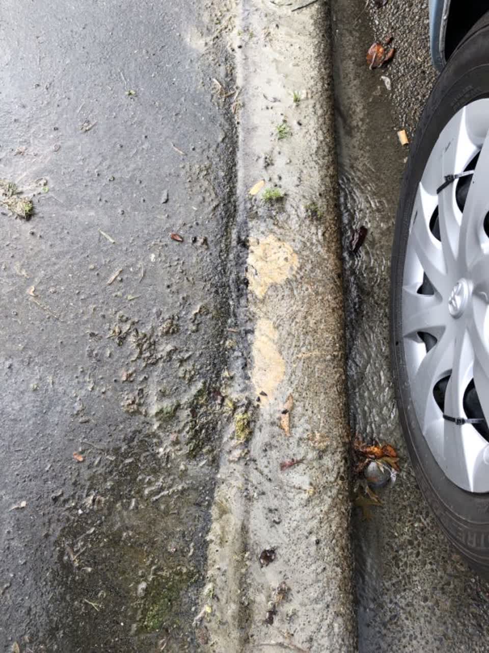 The photograph attached to this water supply report