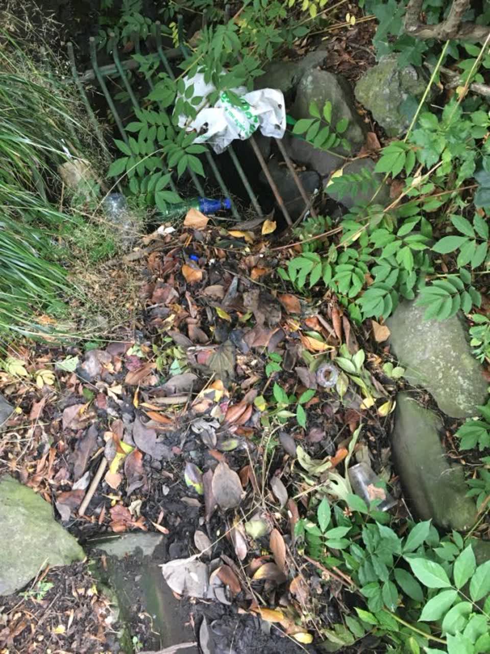 The photograph attached to this wastewater/stormwater report