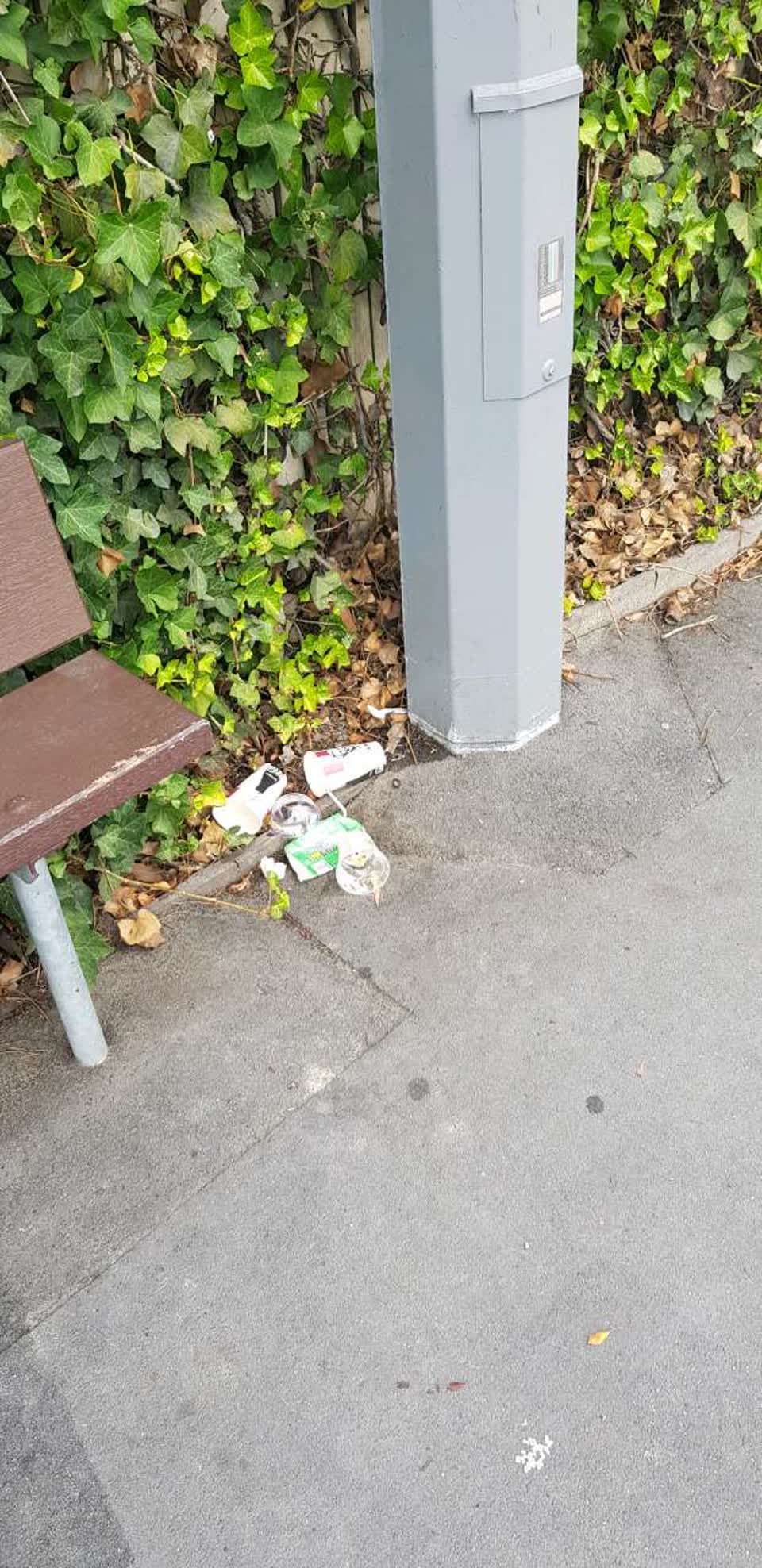 The photograph attached to this rubbish/recycling report