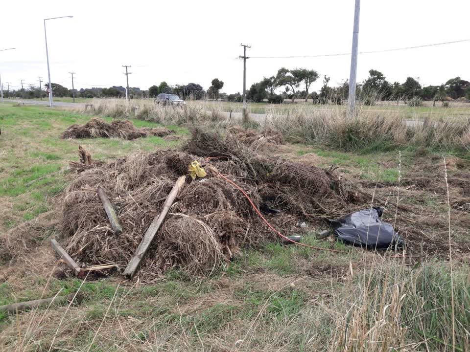 The photograph attached to this parks report