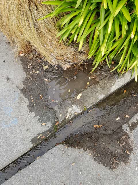 Water Supply, a report photo