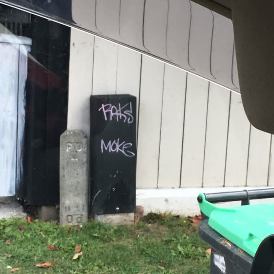 The photograph attached to this graffiti report