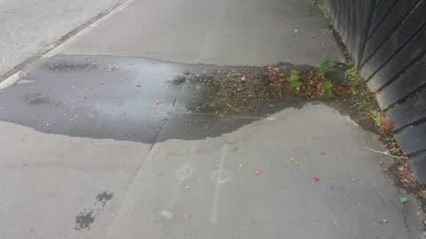 Roading/Streets, a report photo