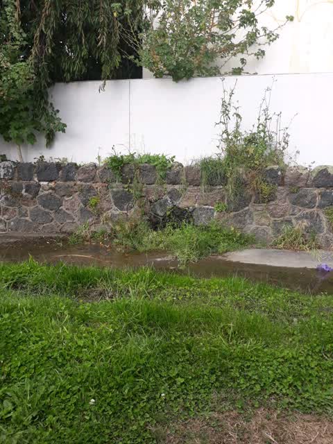 Water Supply, a report photo