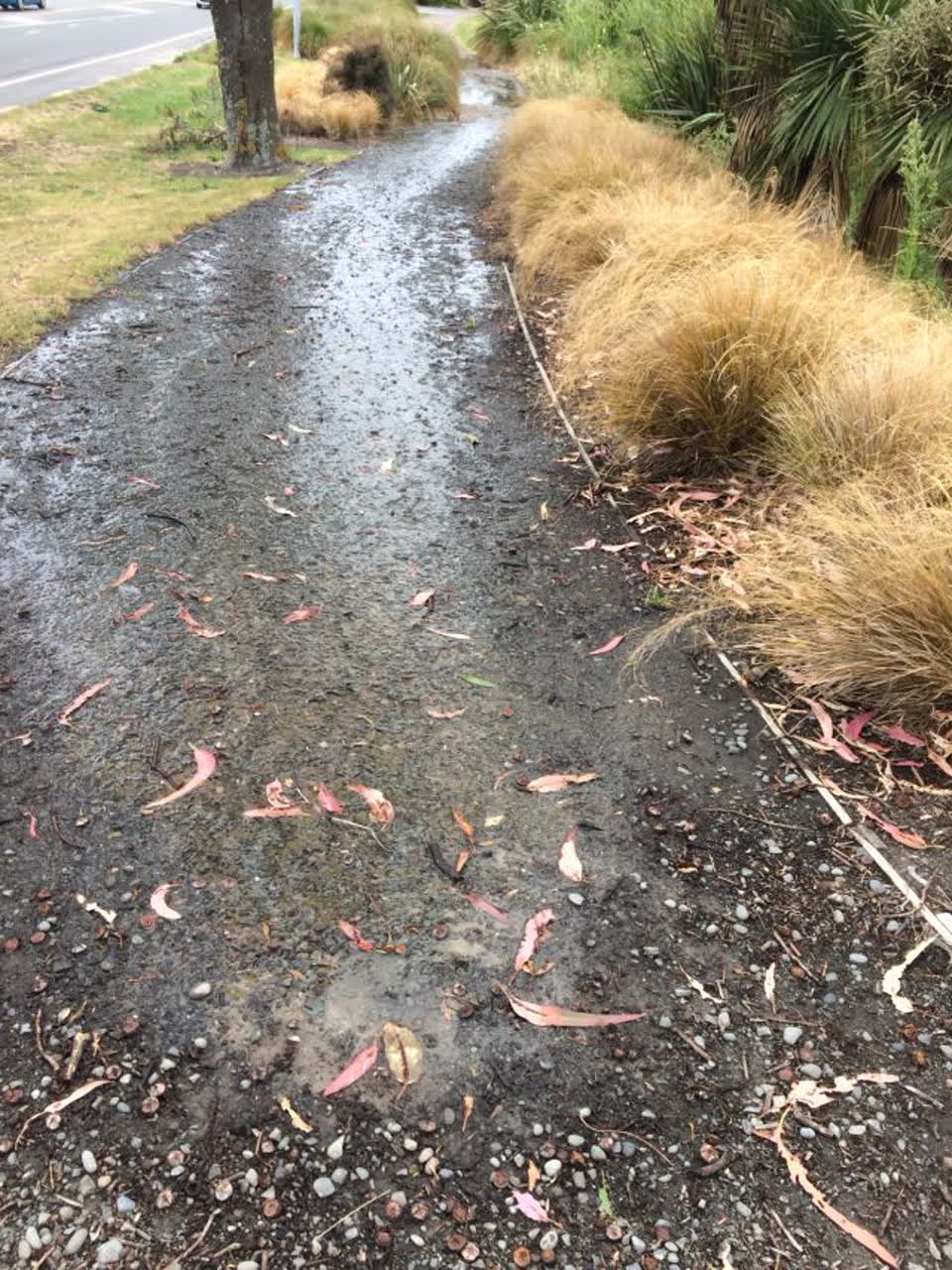 The photograph attached to this flooding report