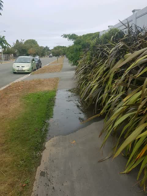 Flooding, a report photo