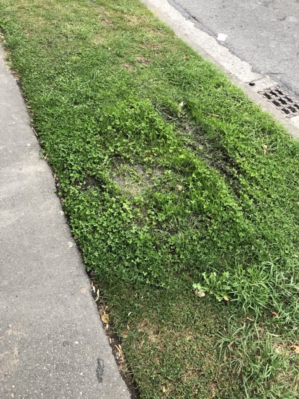 The photograph attached to this water supply report