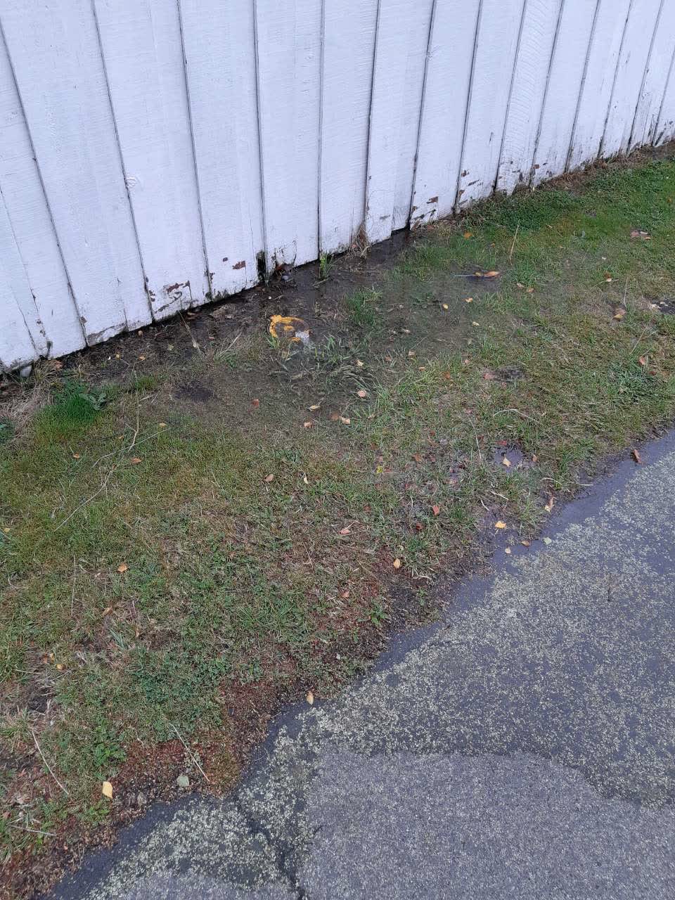 The photograph attached to this water supply report