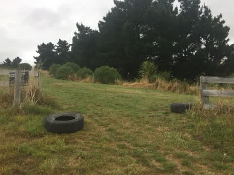 Parks, a report photo