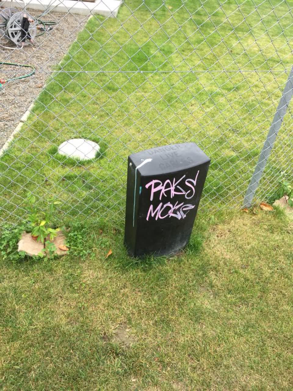 The photograph attached to this graffiti report