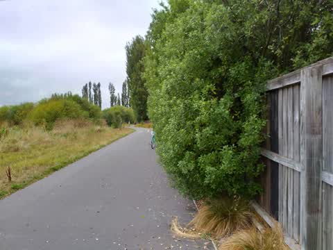 Roading/Streets, a report photo