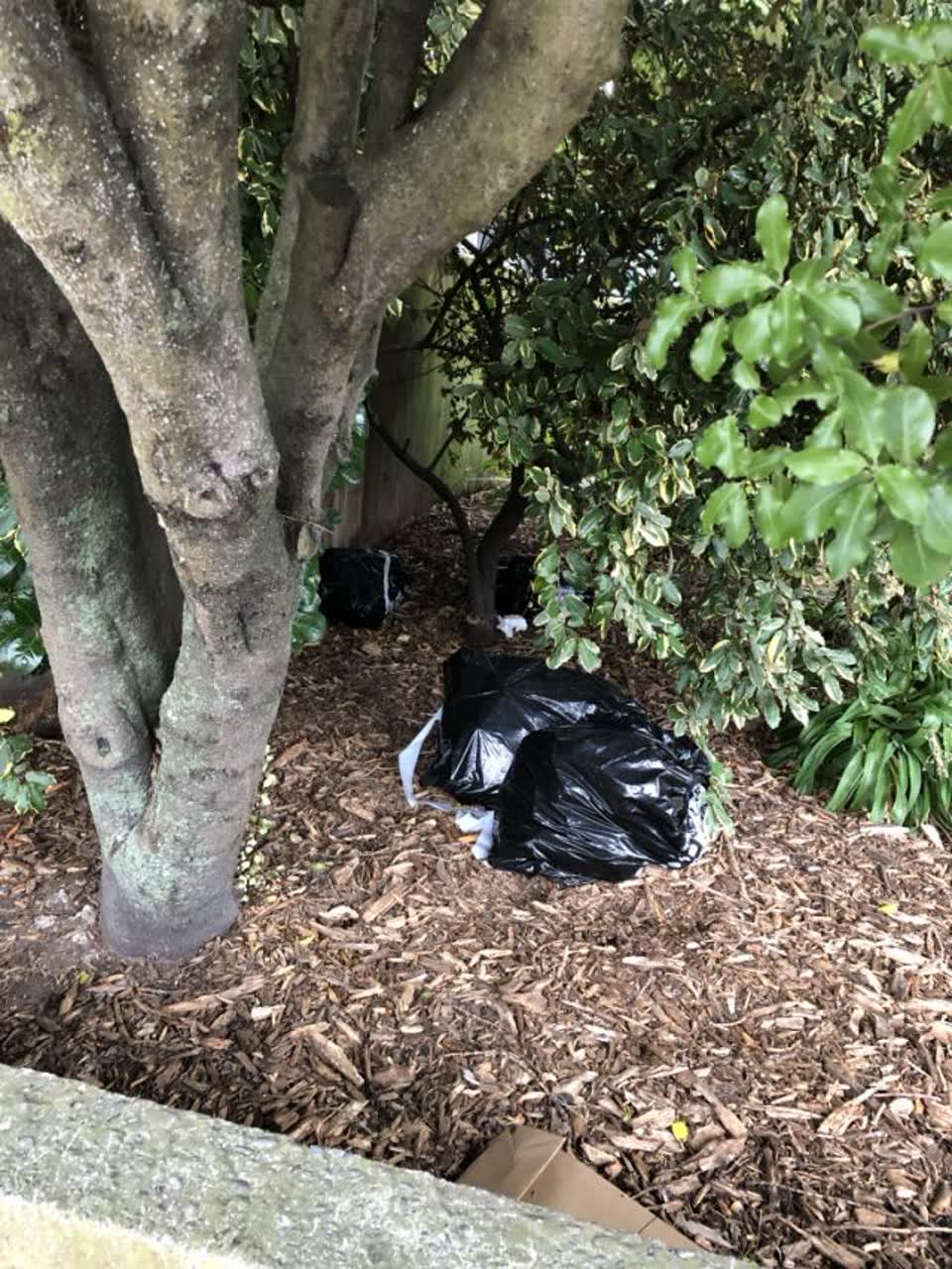 The photograph attached to this rubbish/recycling report