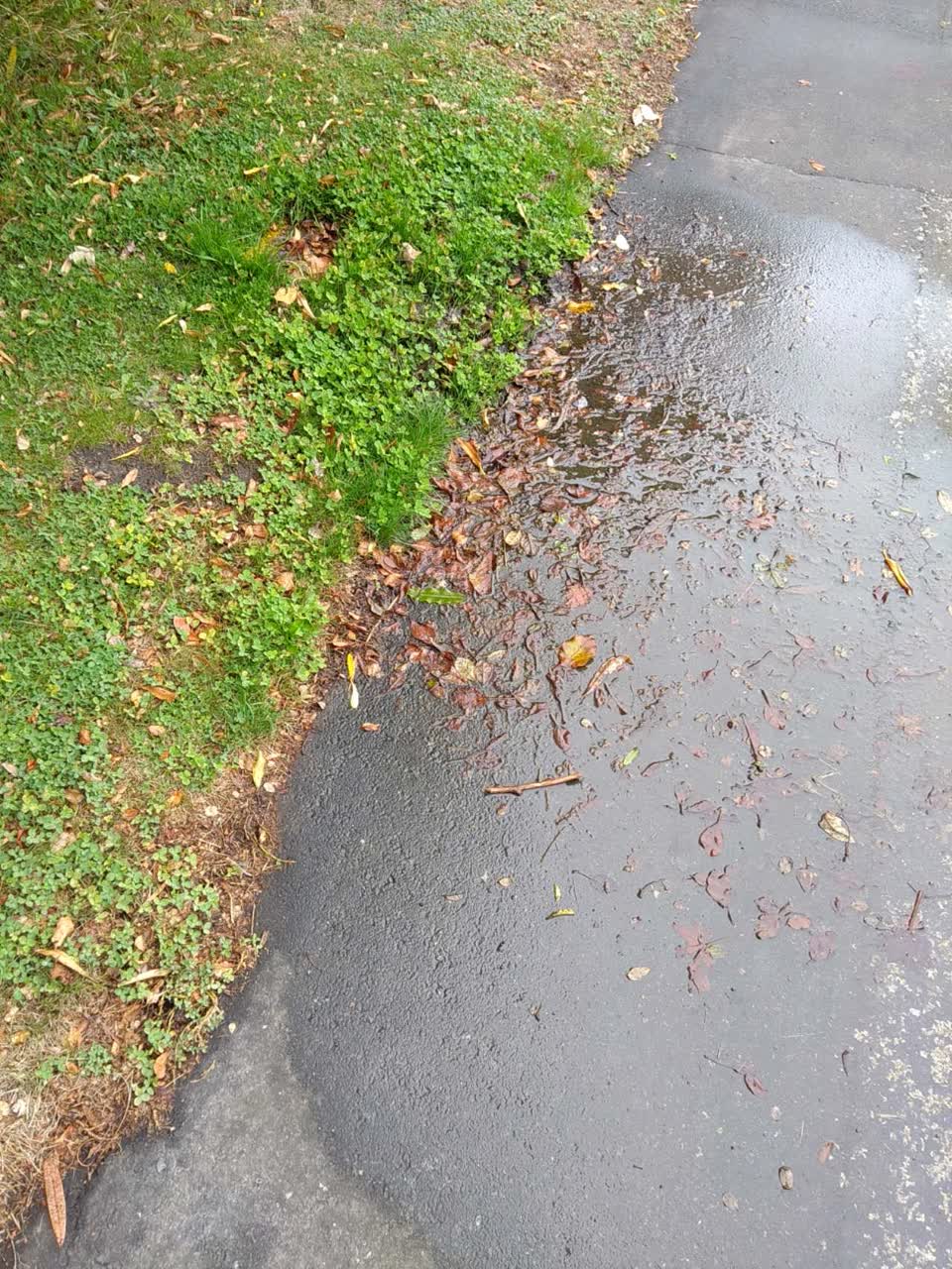 The photograph attached to this water supply report