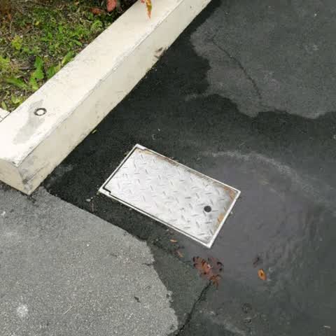 Water Supply, a report photo