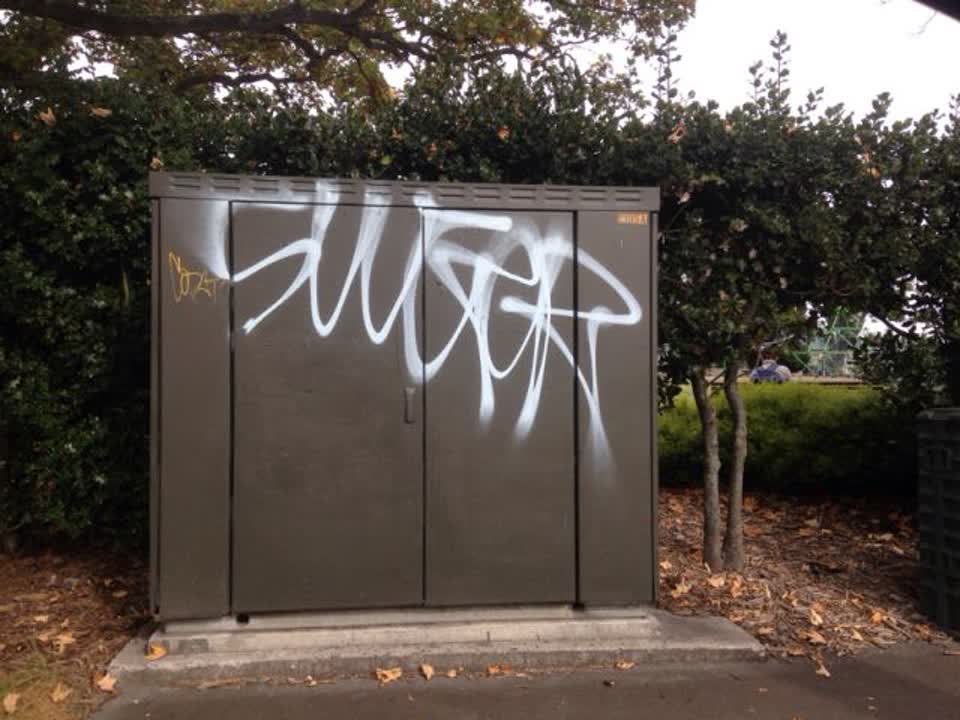 The photograph attached to this graffiti report