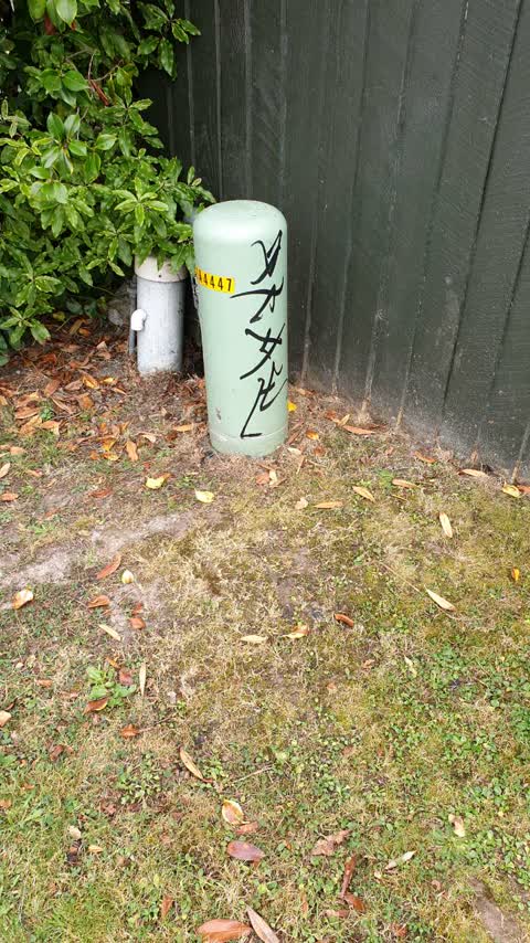 Graffiti, a report photo